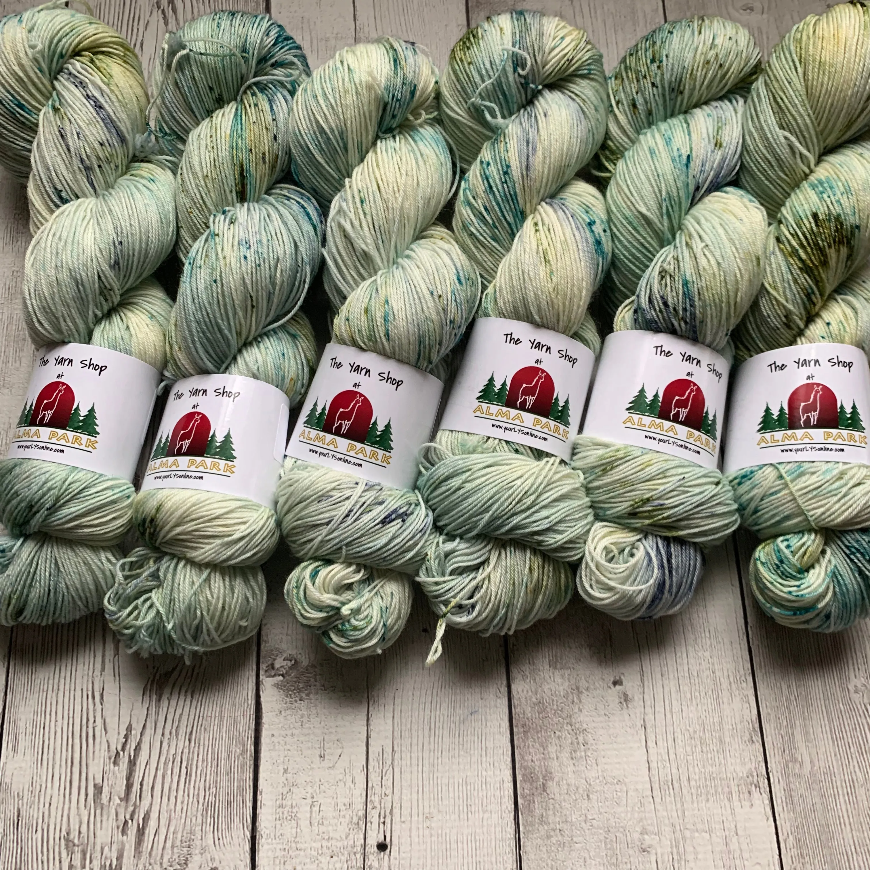 SOCK WEIGHT - English Garden™ Speckled Kettle Dyed - 463 yds RTS (020420)