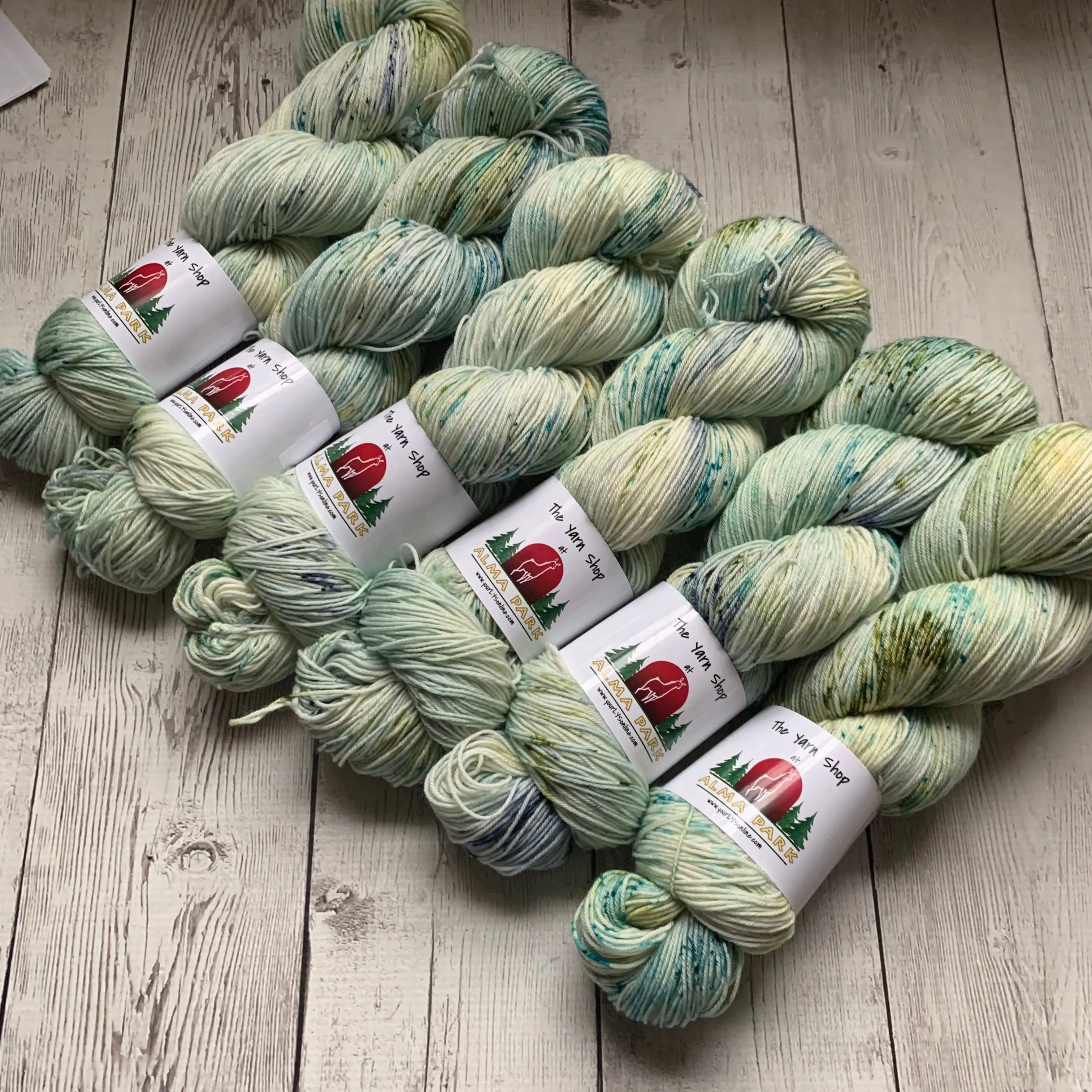 SOCK WEIGHT - English Garden™ Speckled Kettle Dyed - 463 yds RTS (020420)