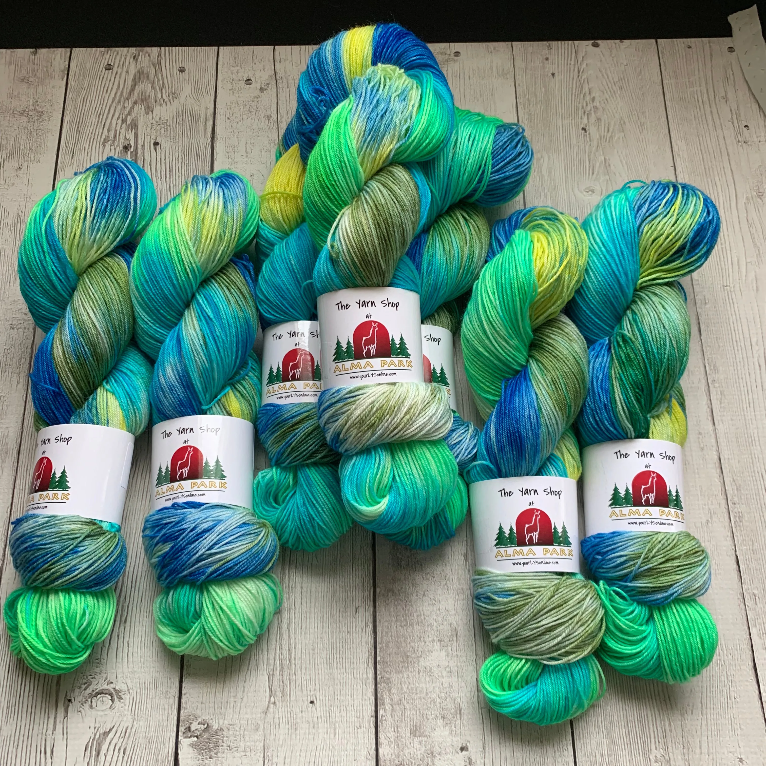 SOCK WEIGHT - RIVER ROCK™ HandPainted Fing/Sock Hand Paint - 463 yds or 20 gr minisRTS (122719)