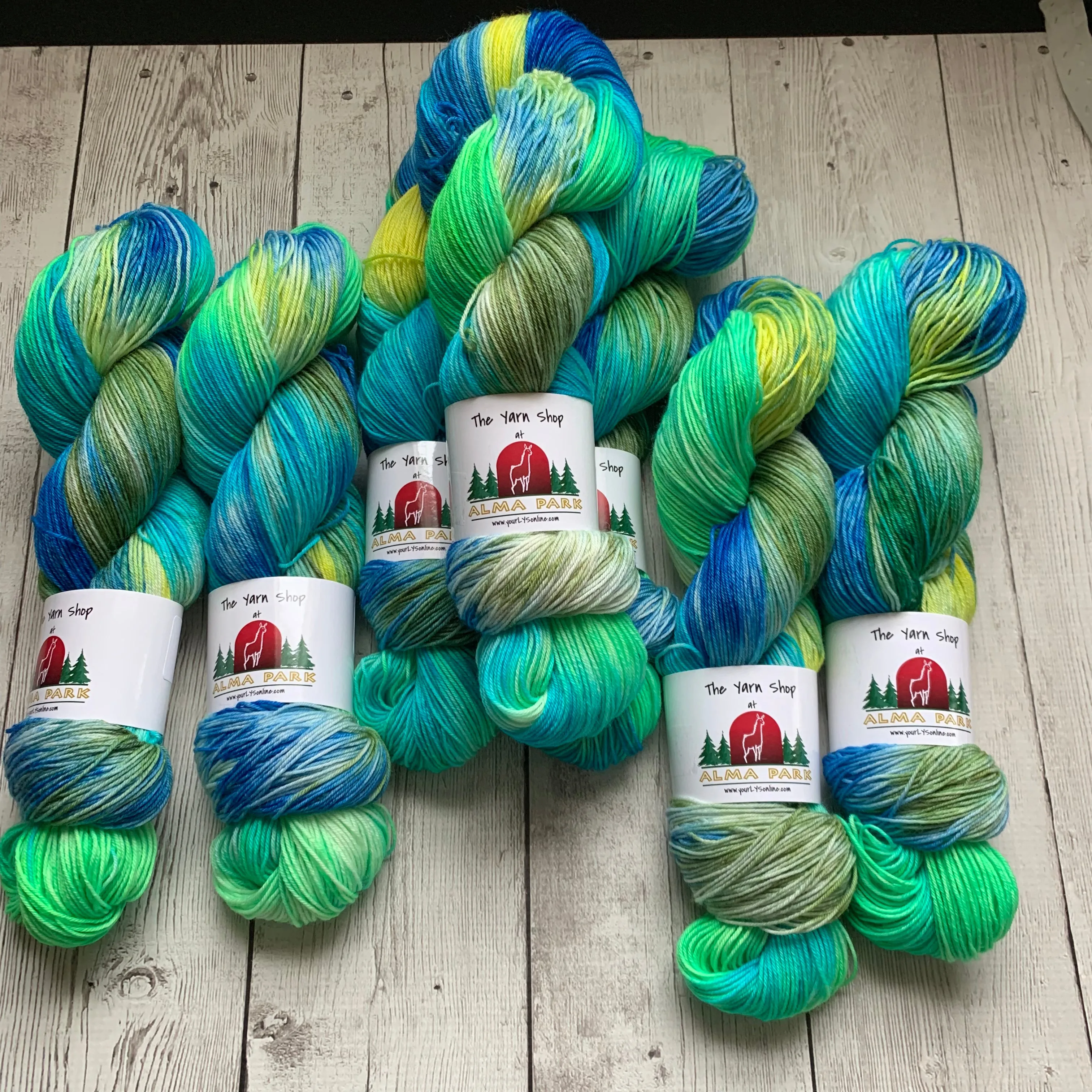 SOCK WEIGHT - RIVER ROCK™ HandPainted Fing/Sock Hand Paint - 463 yds or 20 gr minisRTS (122719)