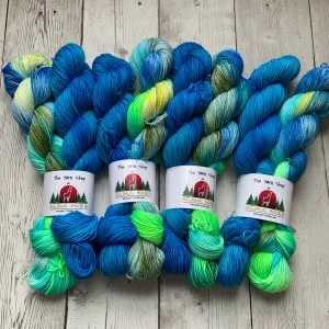 SOCK YARN DUOS™ KIT - Hand Paints - 462 yds RTS