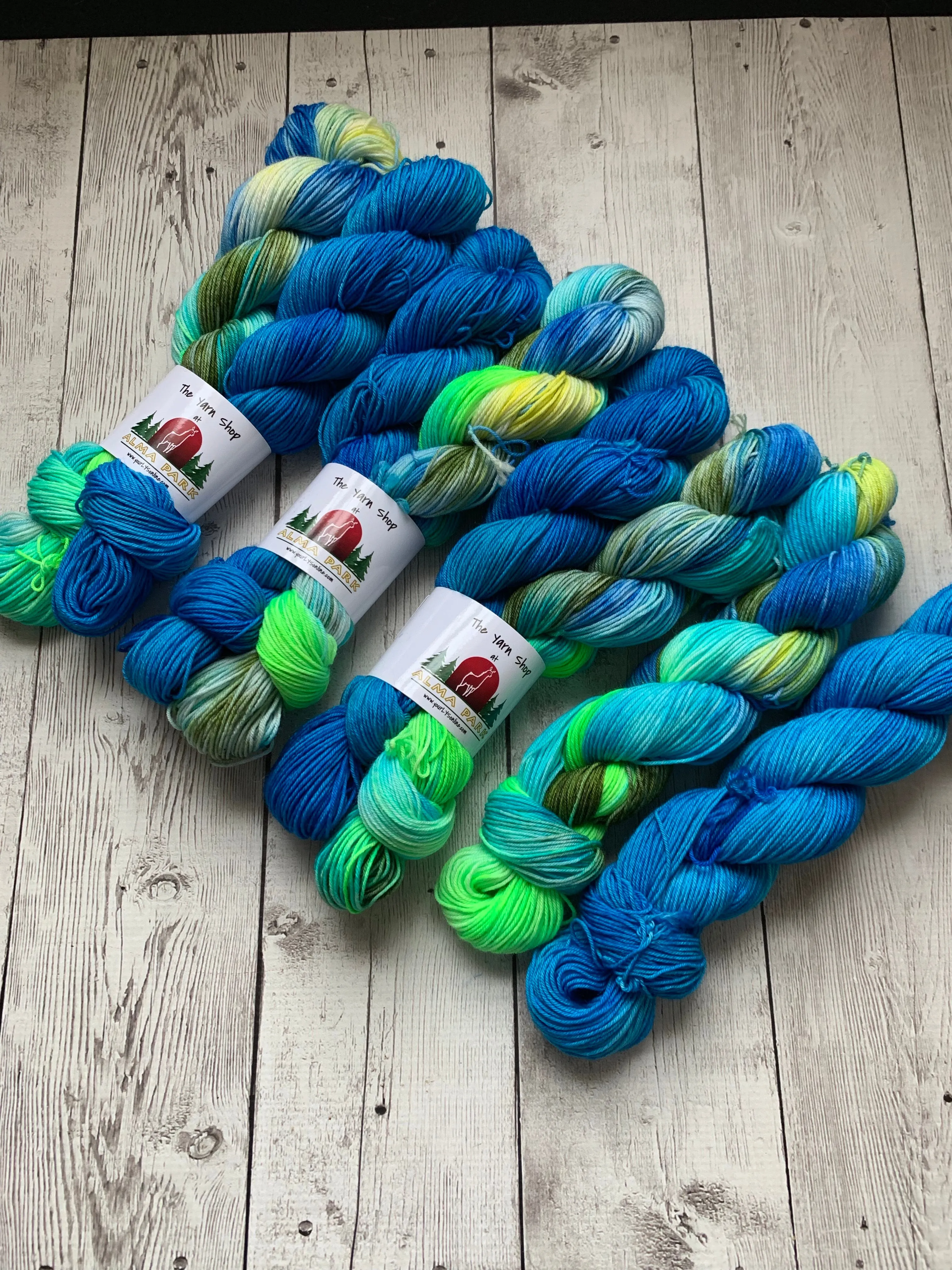 SOCK YARN DUOS™ KIT - Hand Paints - 462 yds RTS