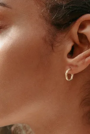 Solid Gold Textured Hoops