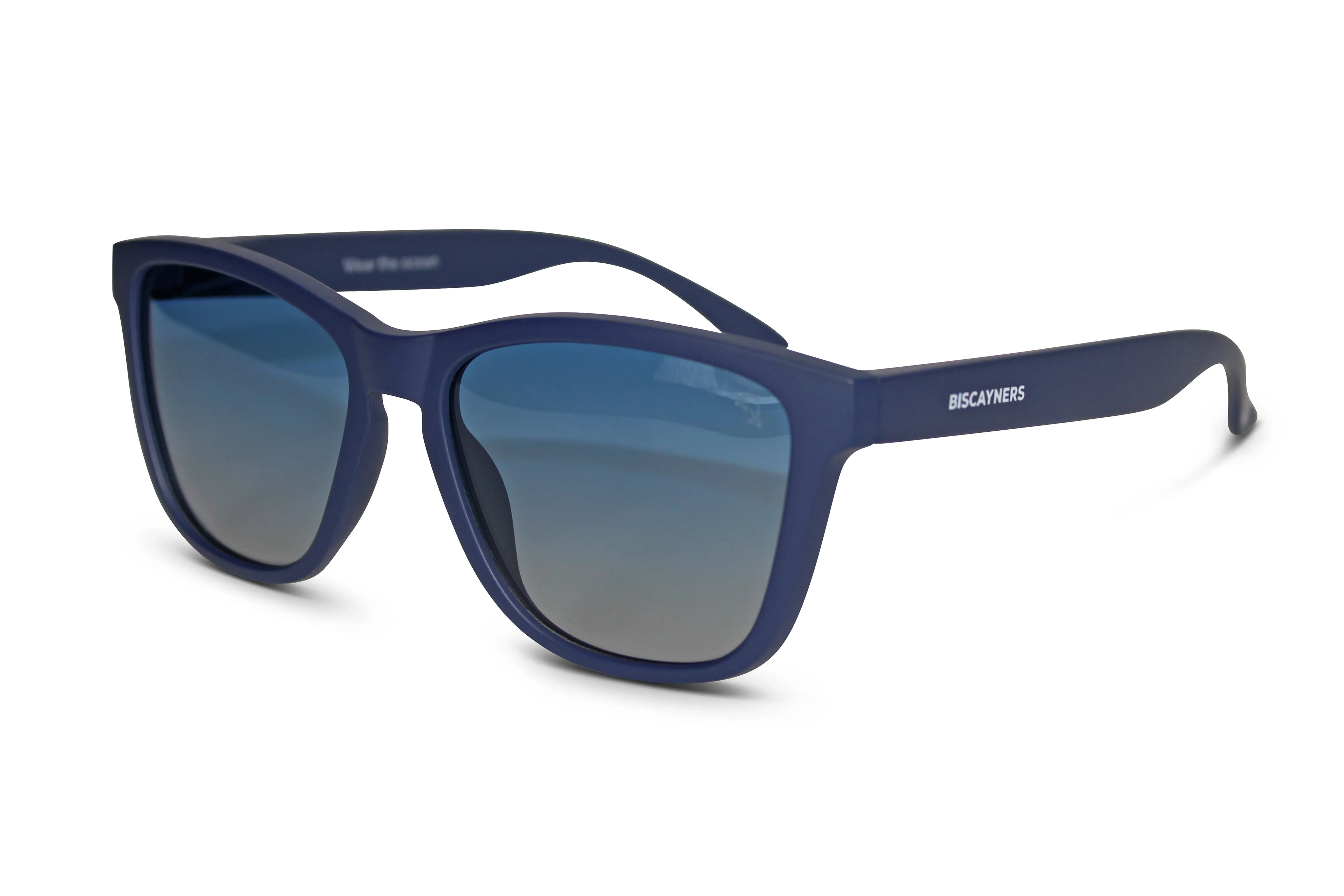 Sonesta Blue
