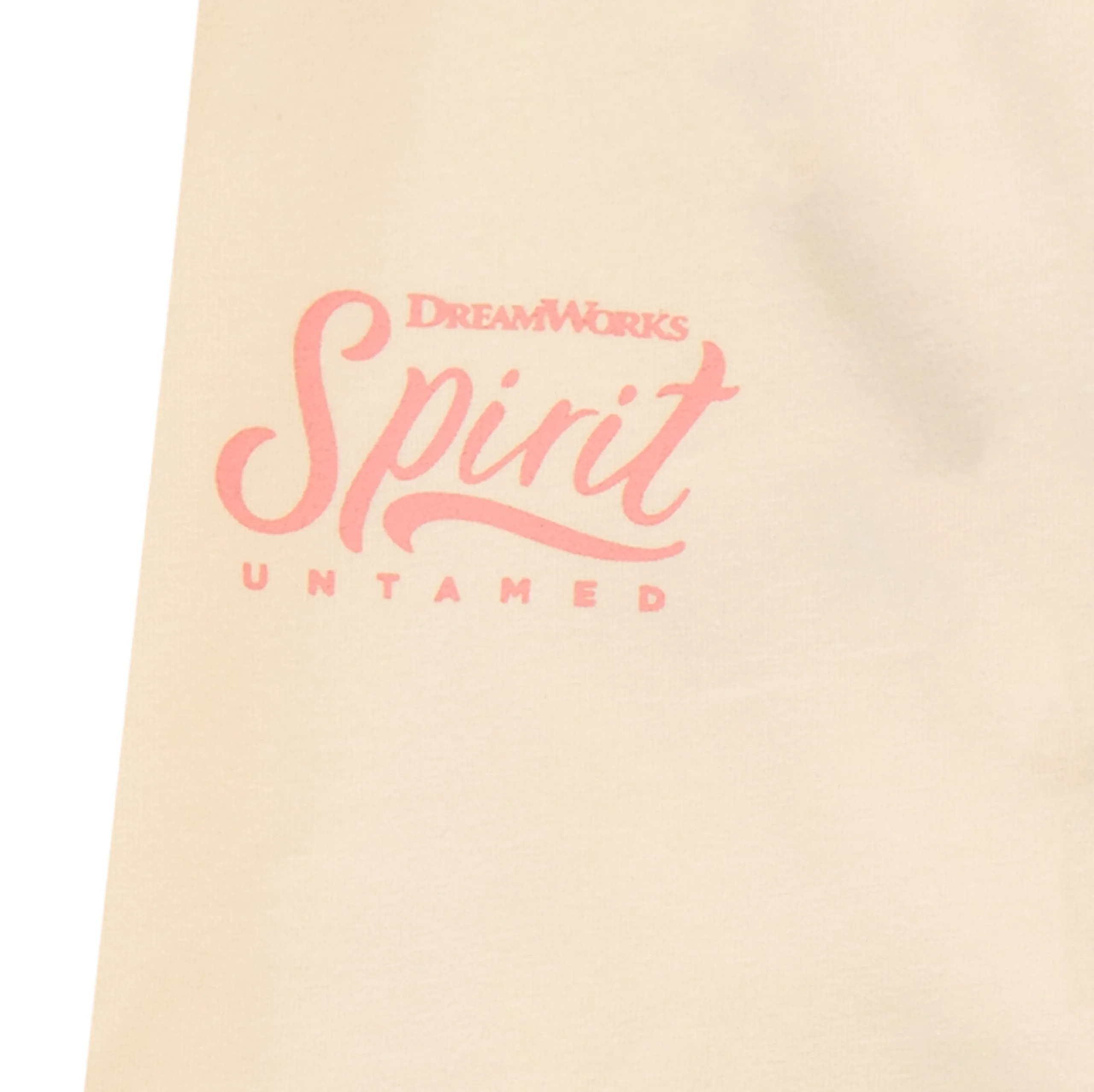 Spirit Riding Free Top and Leggings Set
