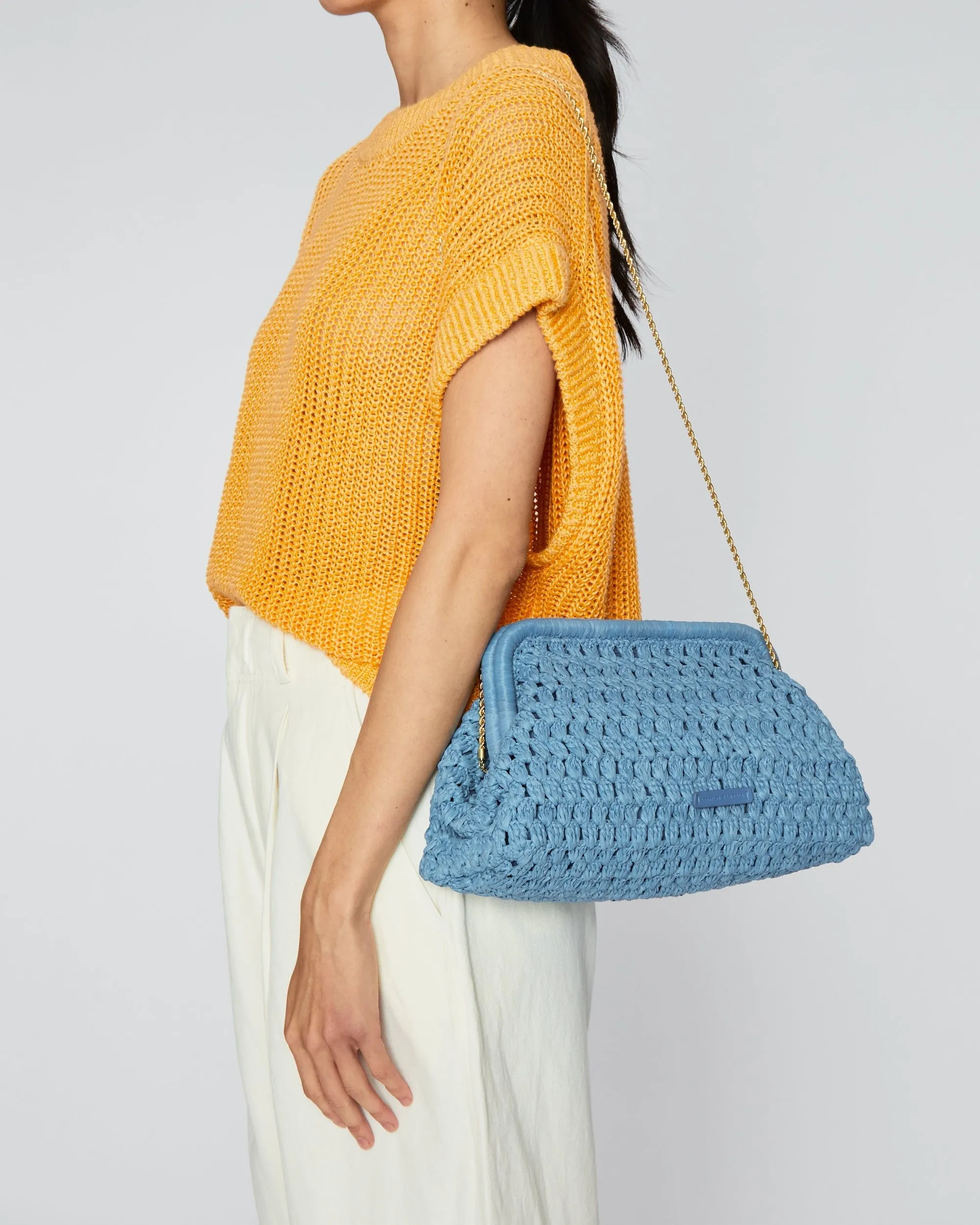 Trudie Frame Clutch