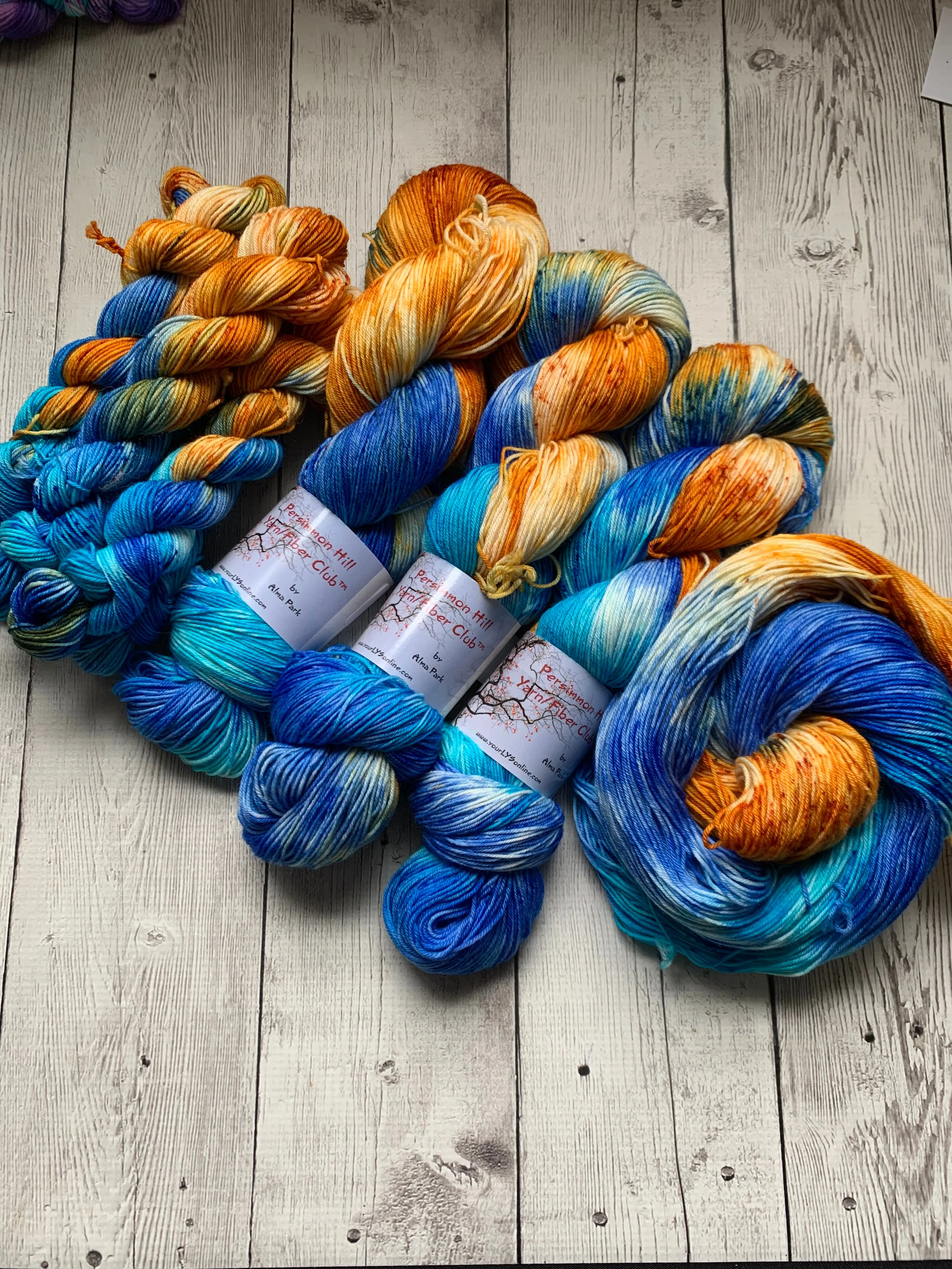 VINTAGE PATINA™ Persimmon Hill Yarn of the Month Speckled/ Hand Paint - Multiple Bases - RTS