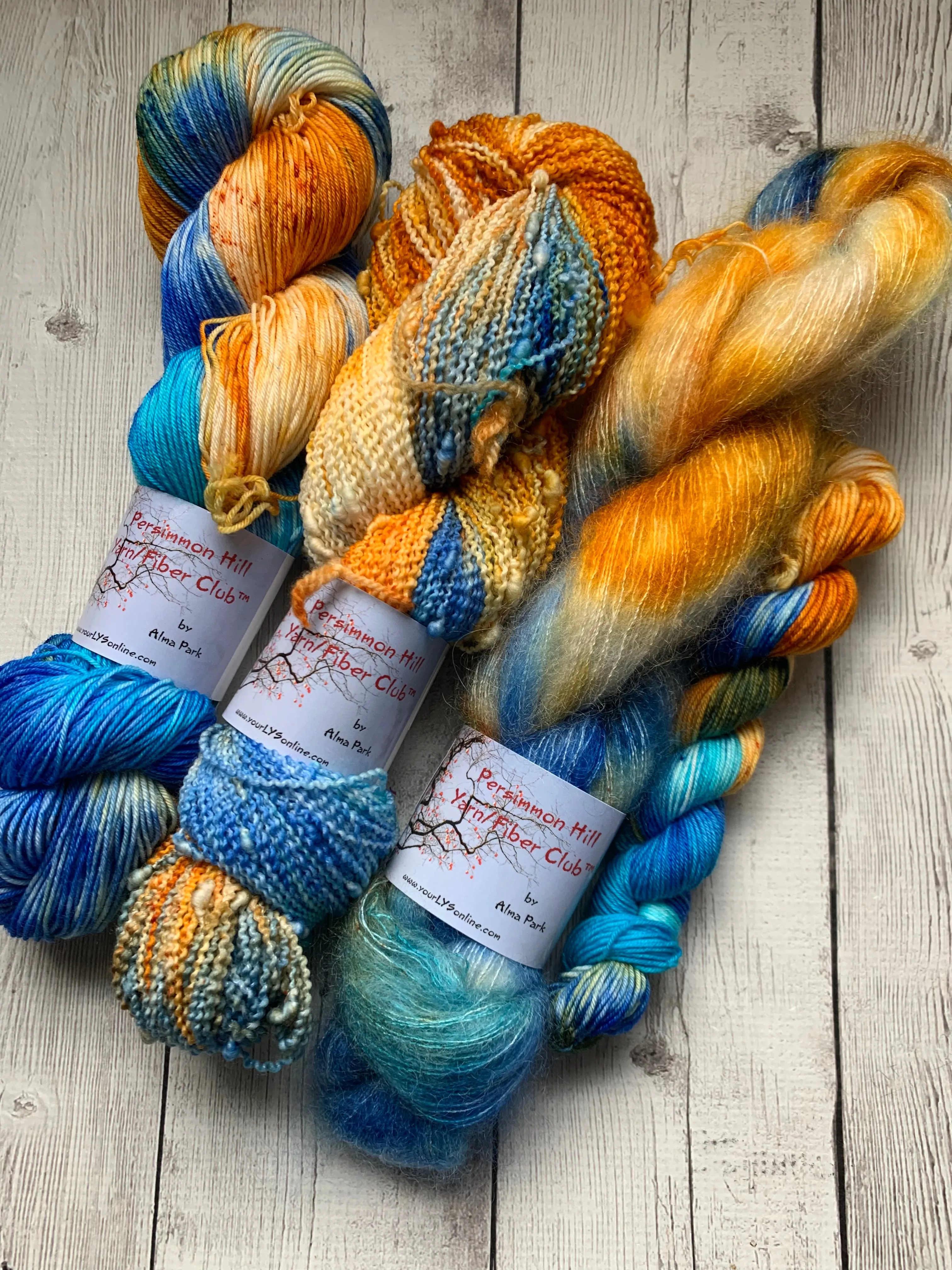 VINTAGE PATINA™ Persimmon Hill Yarn of the Month Speckled/ Hand Paint - Multiple Bases - RTS