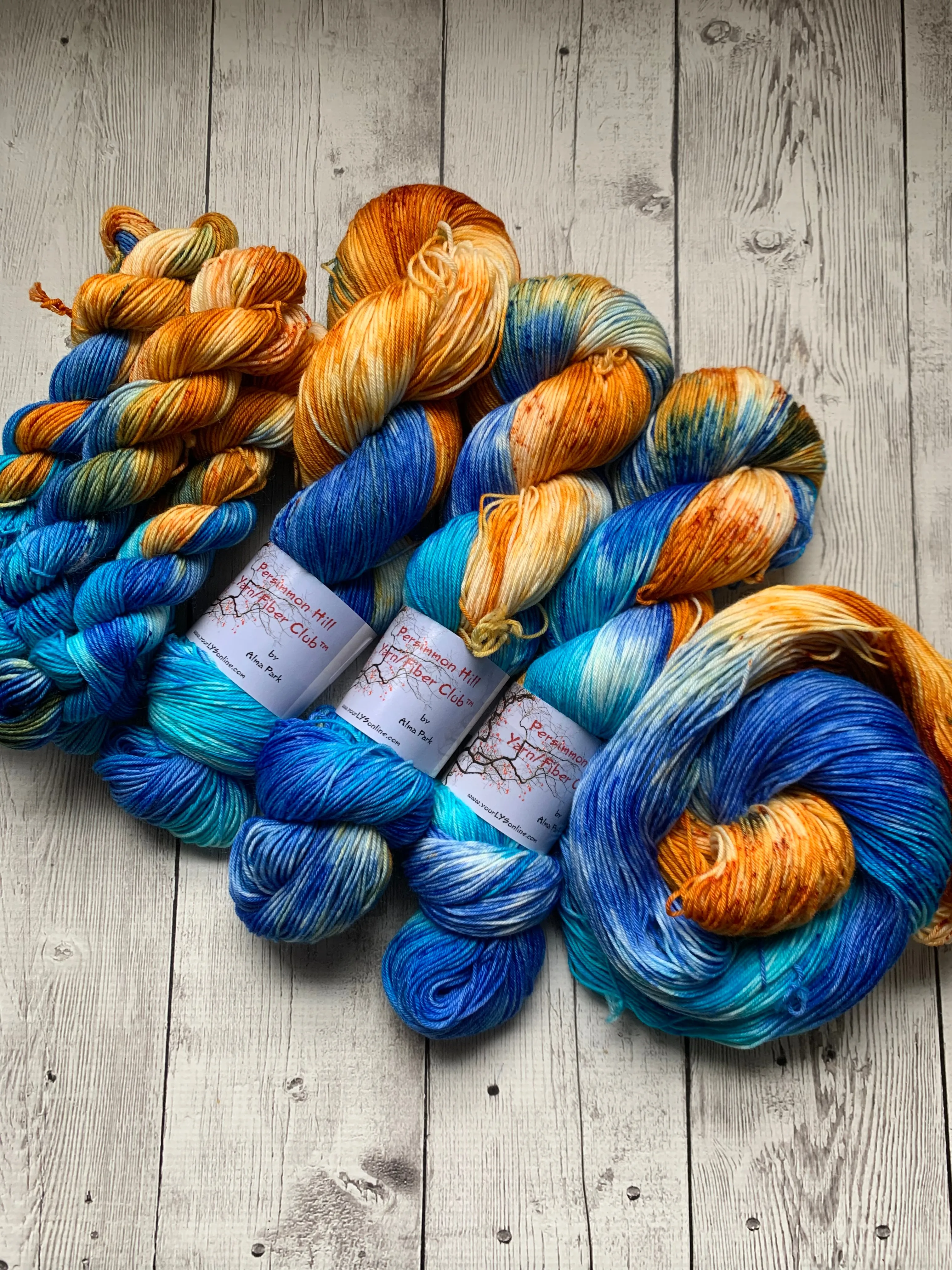 VINTAGE PATINA™ Persimmon Hill Yarn of the Month Speckled/ Hand Paint - Multiple Bases - RTS