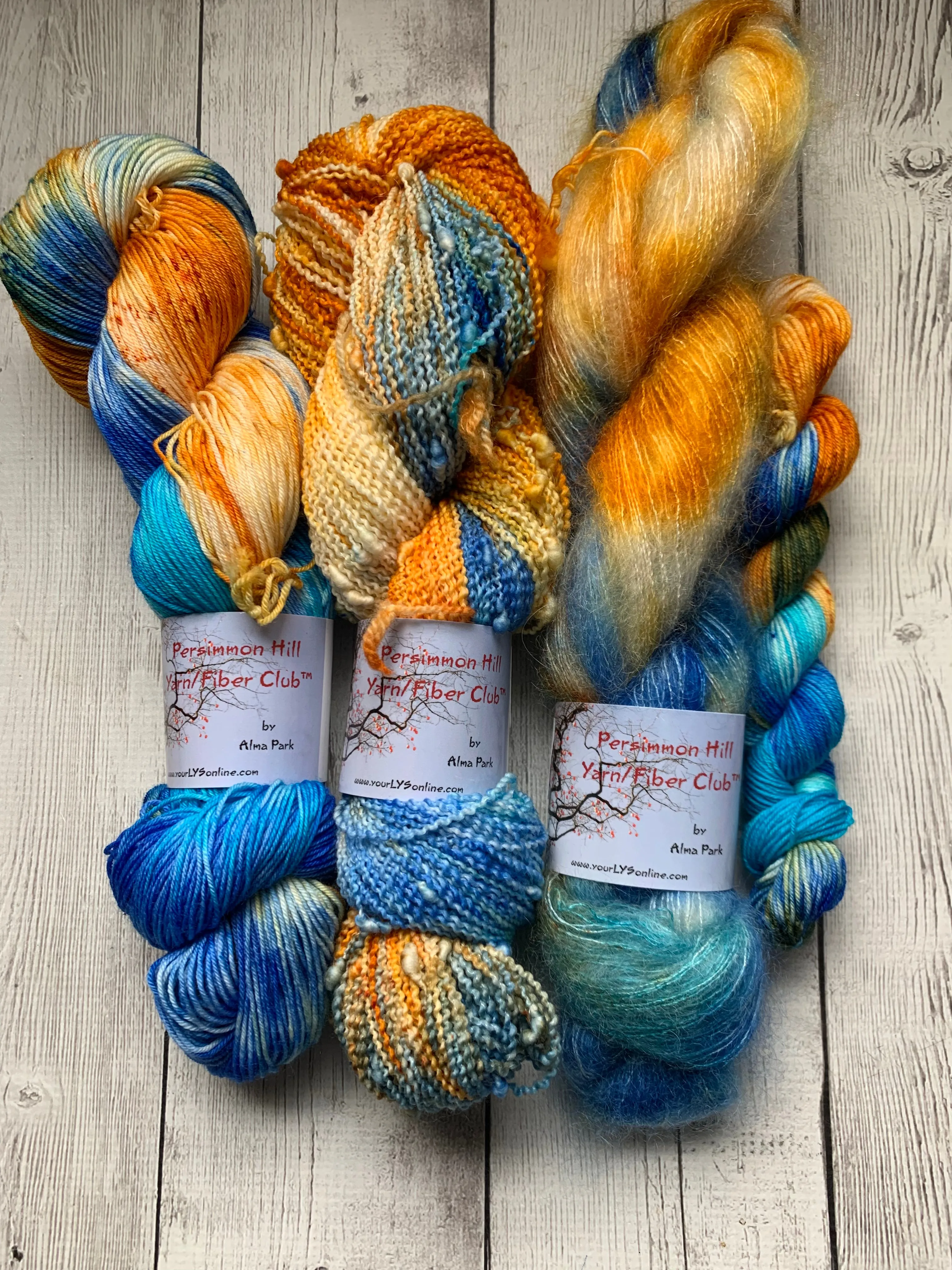 VINTAGE PATINA™ Persimmon Hill Yarn of the Month Speckled/ Hand Paint - Multiple Bases - RTS