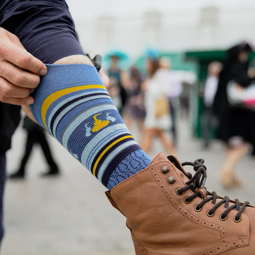 Whisky Tasting Socks |  Royal Blue   Sky   Gold