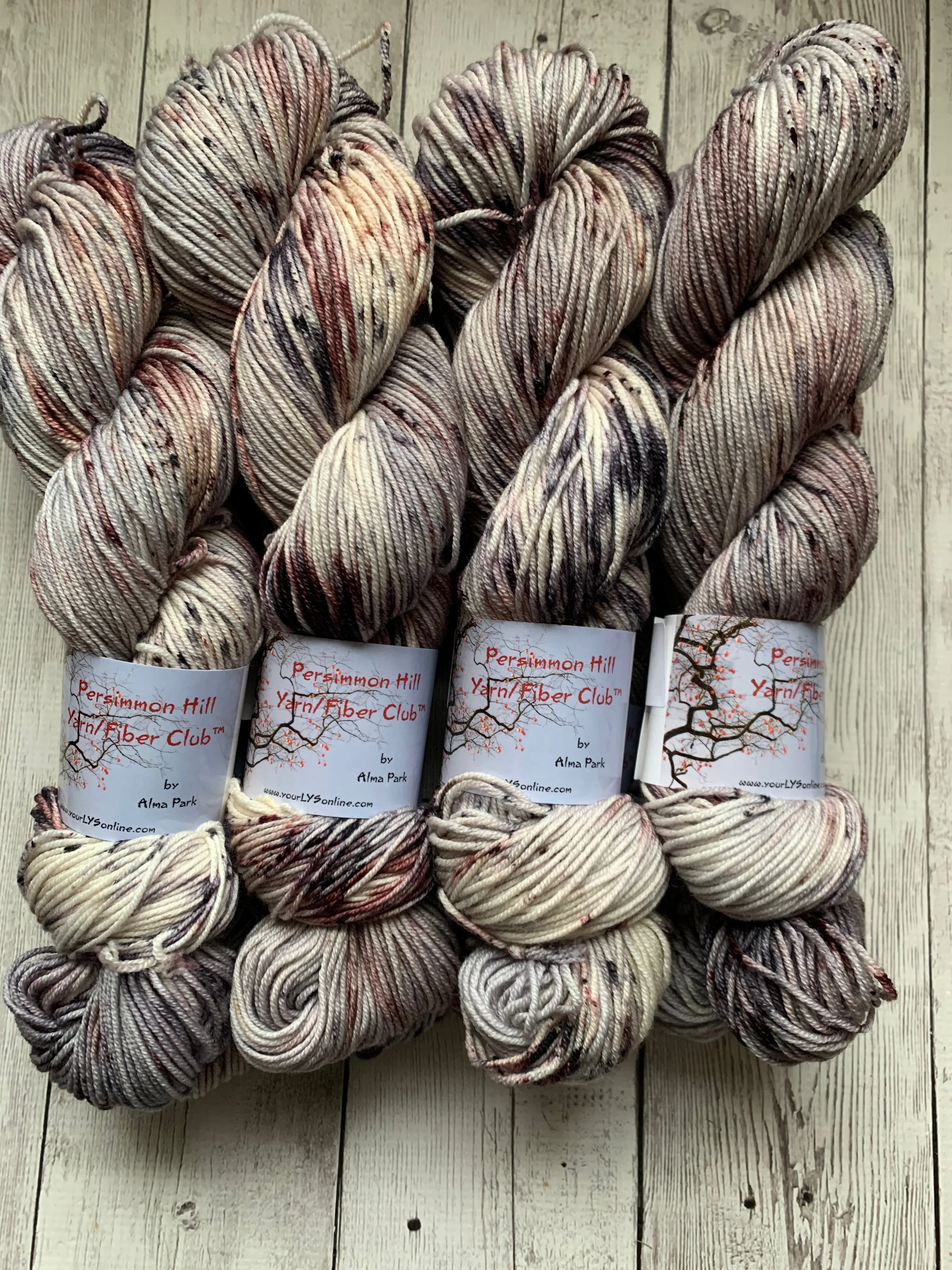 WILD HORSES ™ Persimmon Hill Yarn of the Month -  Hand Painted/ Speckled RTS