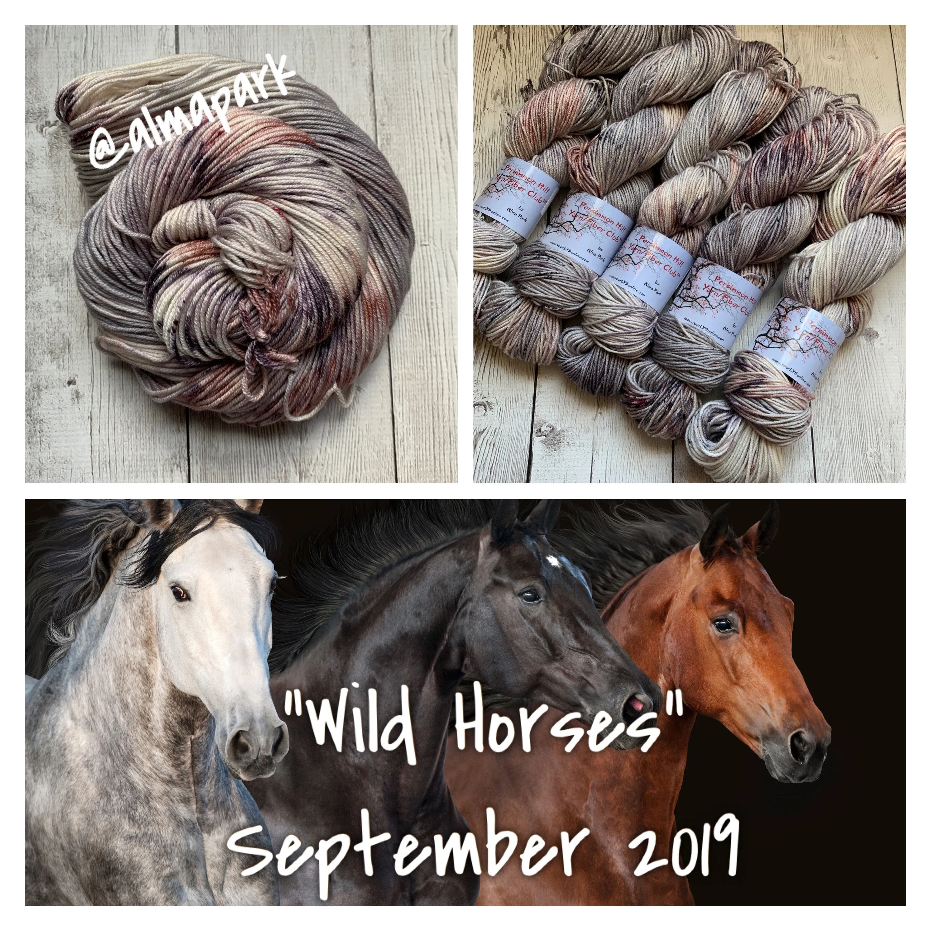 WILD HORSES ™ Persimmon Hill Yarn of the Month -  Hand Painted/ Speckled RTS