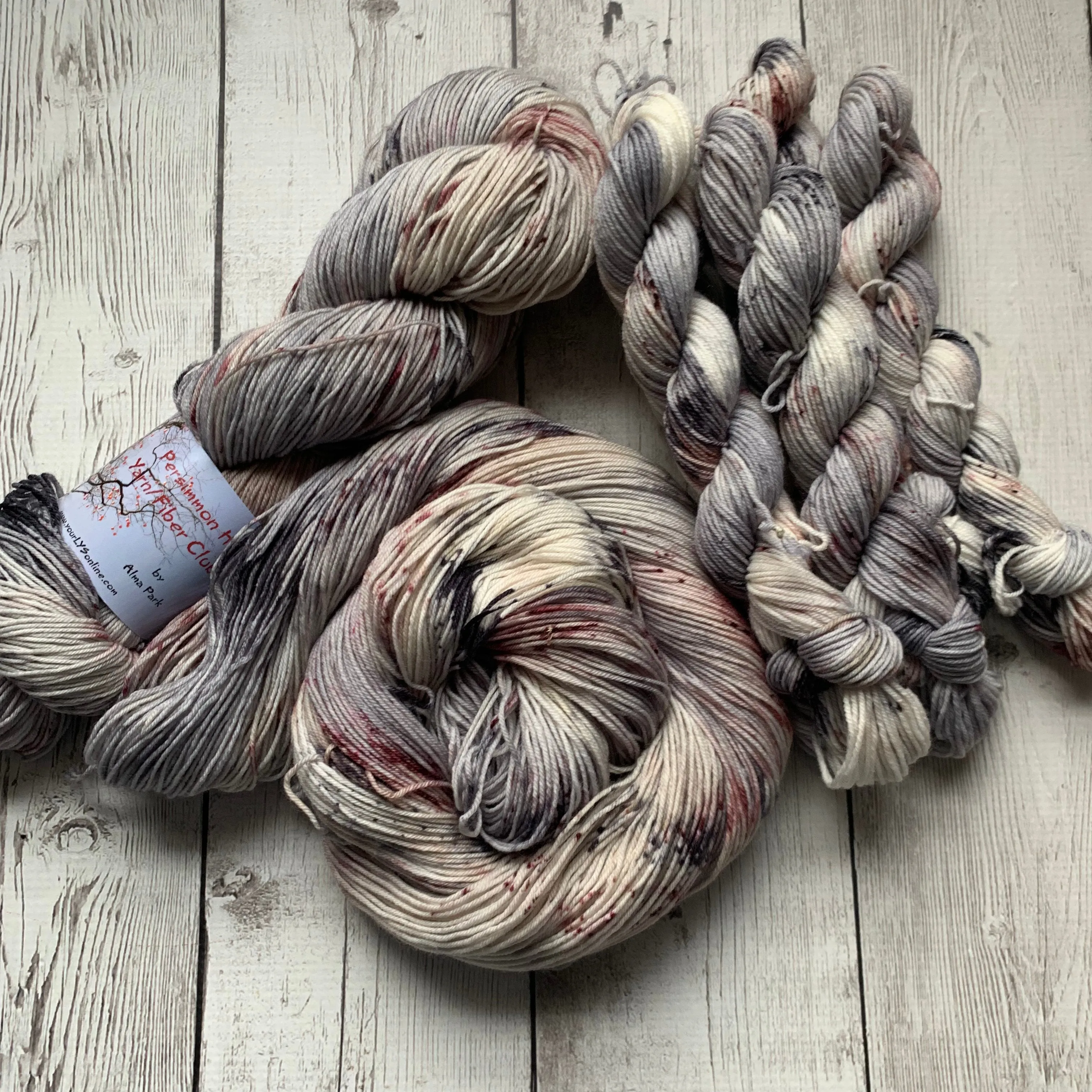WILD HORSES ™ Persimmon Hill Yarn of the Month -  Hand Painted/ Speckled RTS