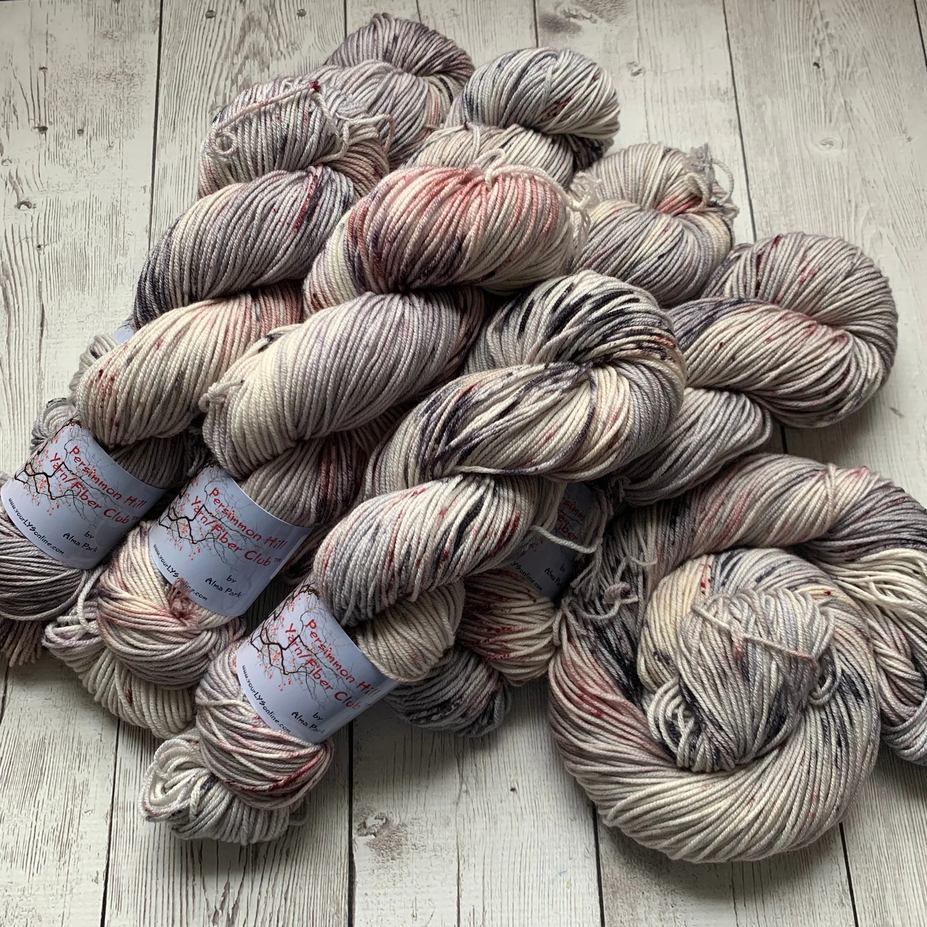 WILD HORSES ™ Persimmon Hill Yarn of the Month -  Hand Painted/ Speckled RTS