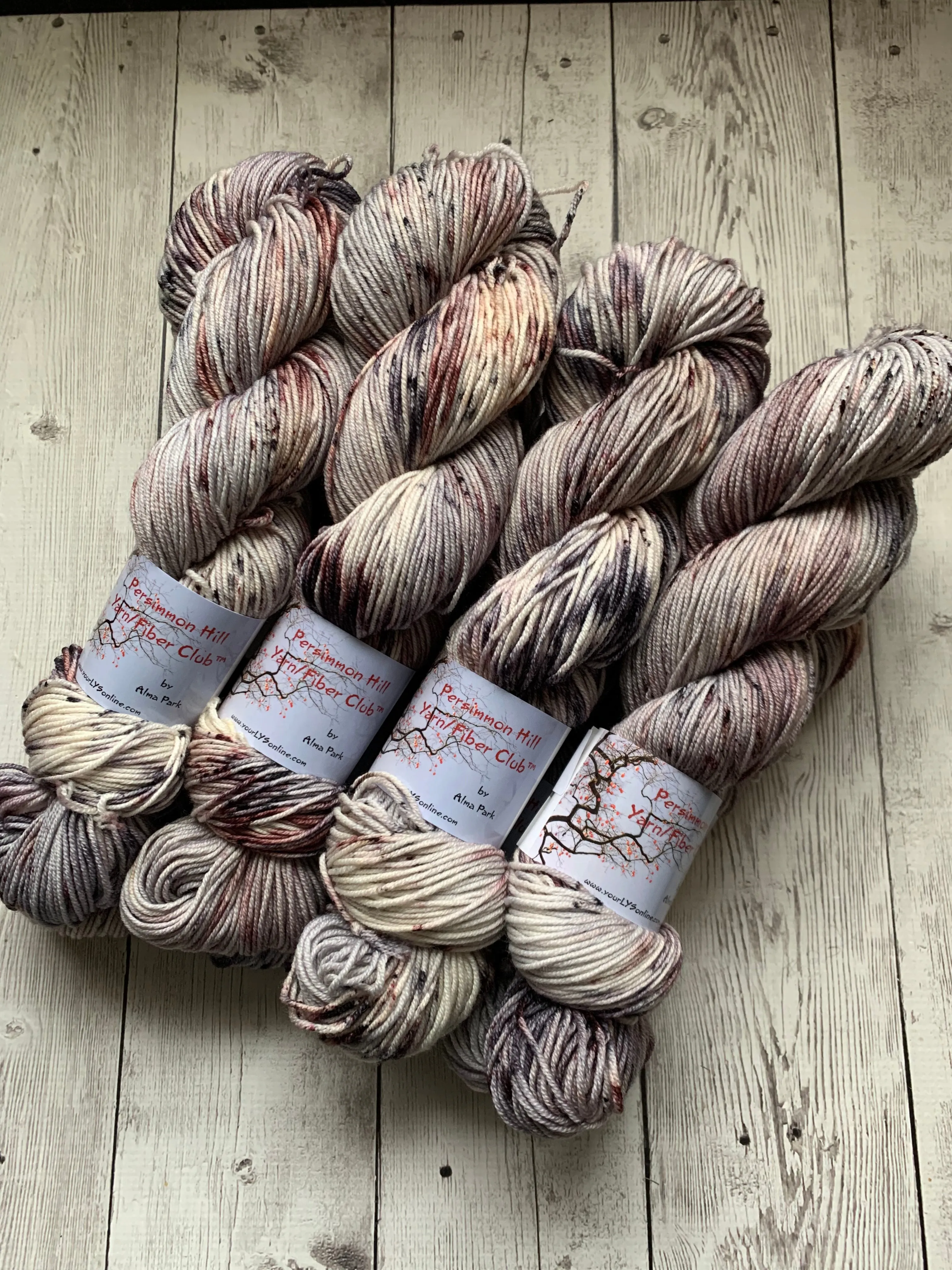 WILD HORSES ™ Persimmon Hill Yarn of the Month -  Hand Painted/ Speckled RTS