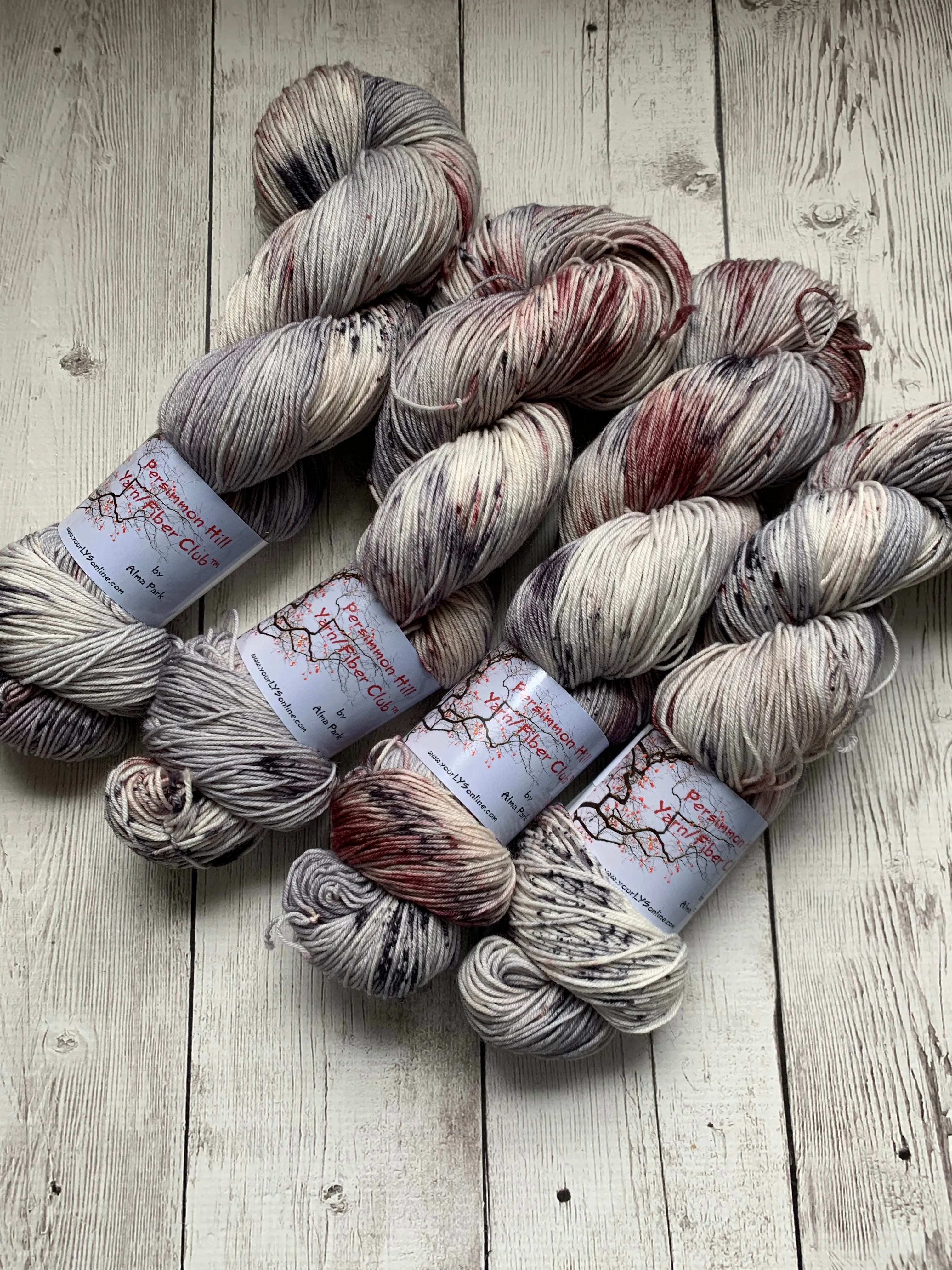 WILD HORSES ™ Persimmon Hill Yarn of the Month -  Hand Painted/ Speckled RTS