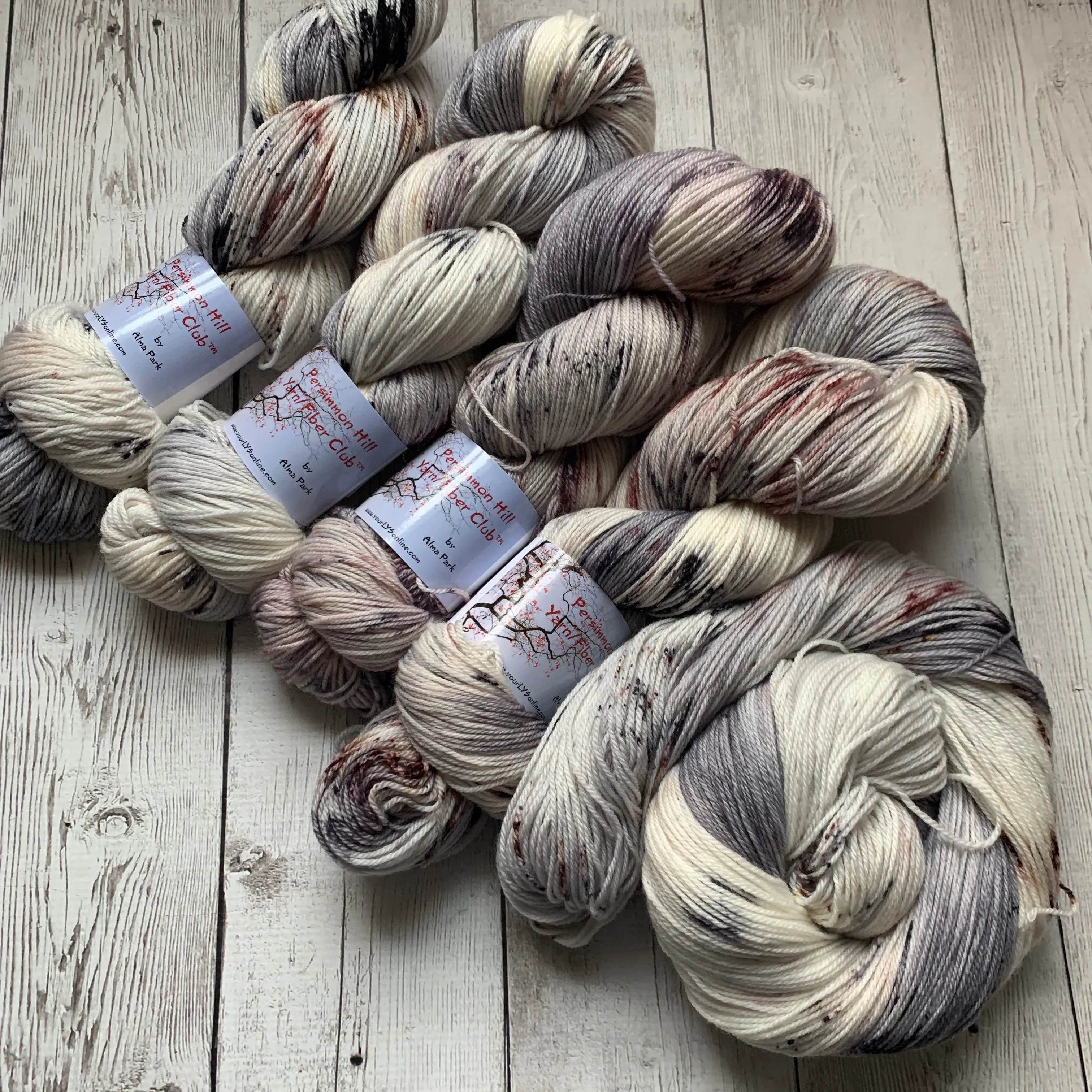 WILD HORSES ™ Persimmon Hill Yarn of the Month -  Hand Painted/ Speckled RTS
