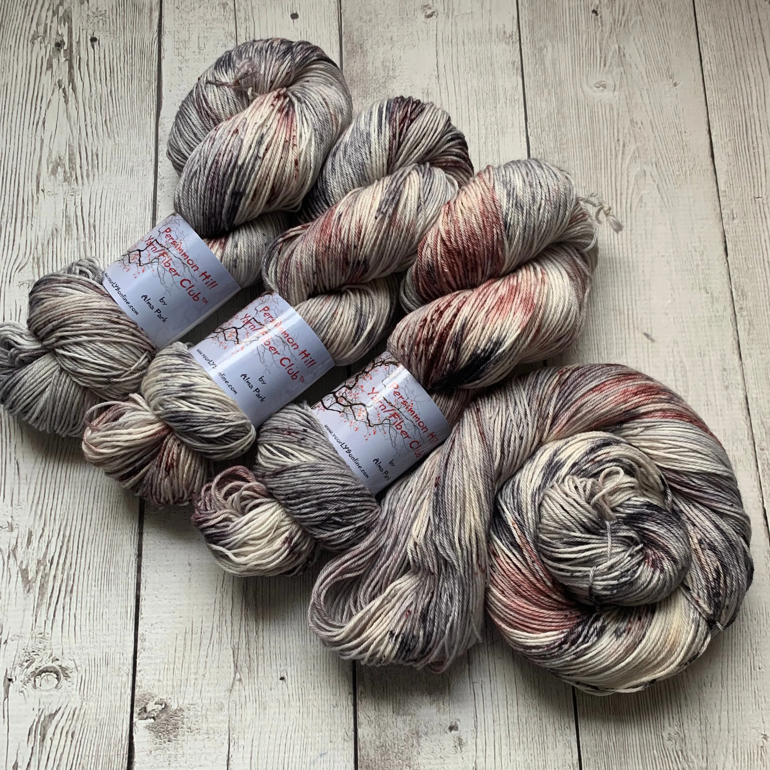 WILD HORSES ™ Persimmon Hill Yarn of the Month -  Hand Painted/ Speckled RTS