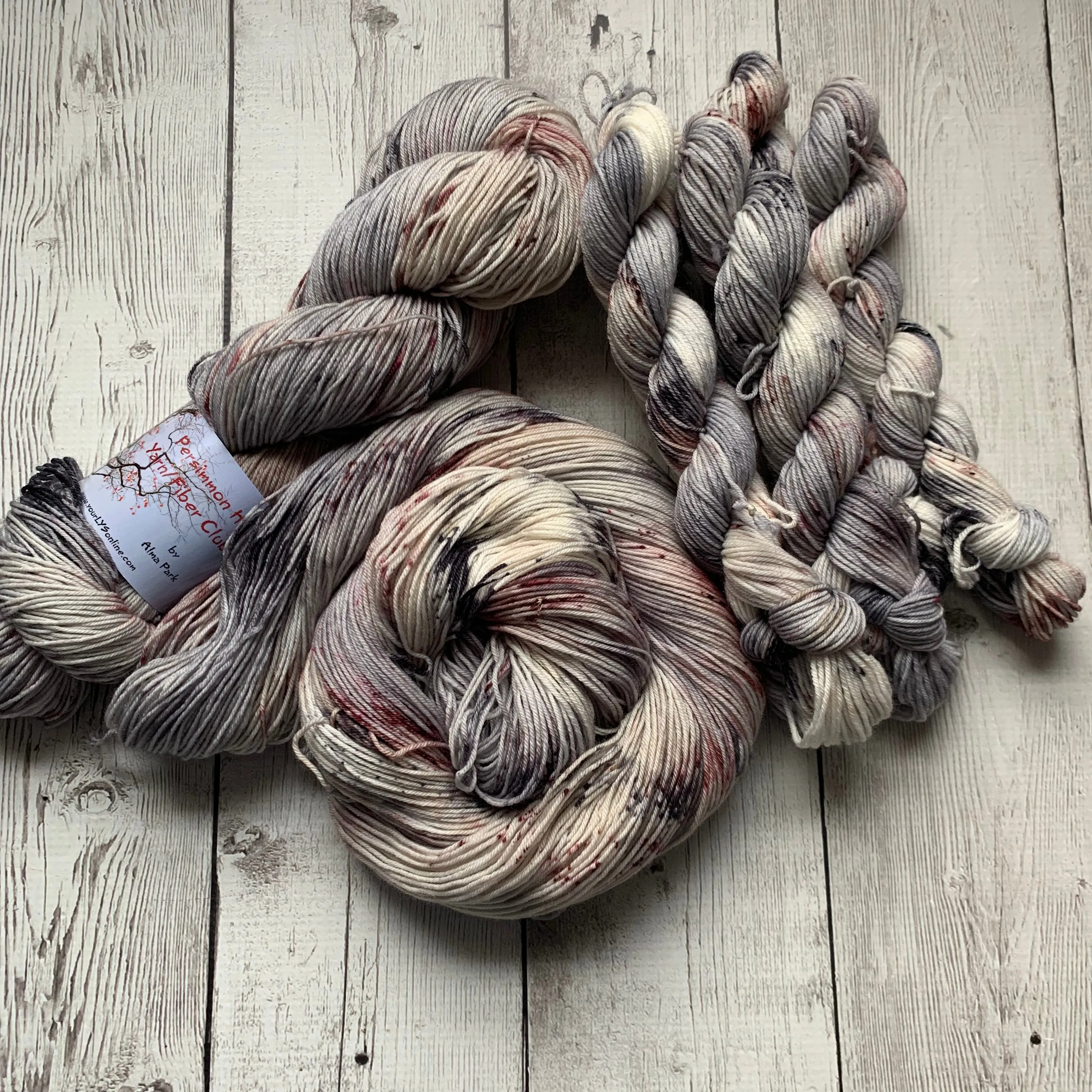 WILD HORSES ™ Persimmon Hill Yarn of the Month -  Hand Painted/ Speckled RTS