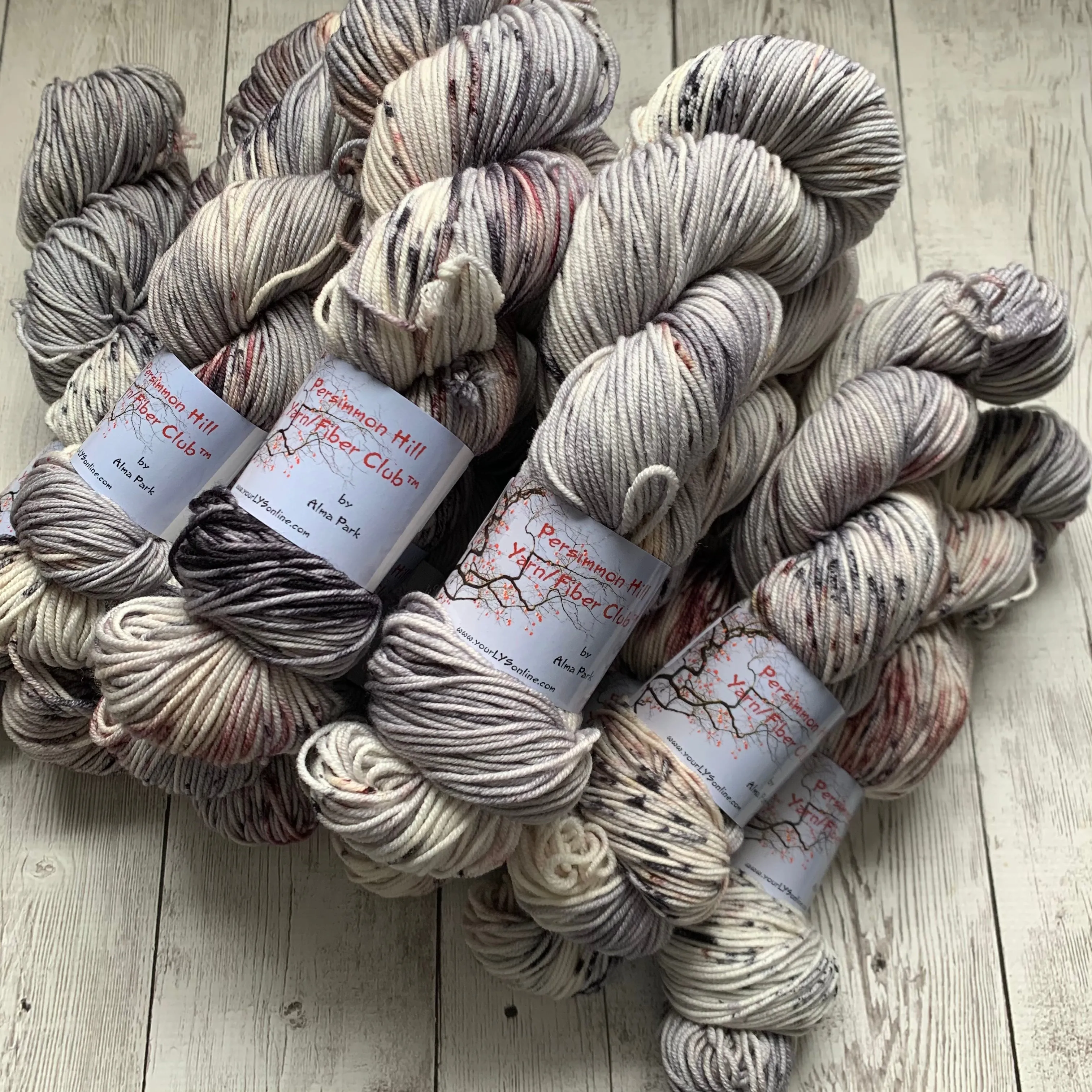 WILD HORSES ™ Persimmon Hill Yarn of the Month -  Hand Painted/ Speckled RTS