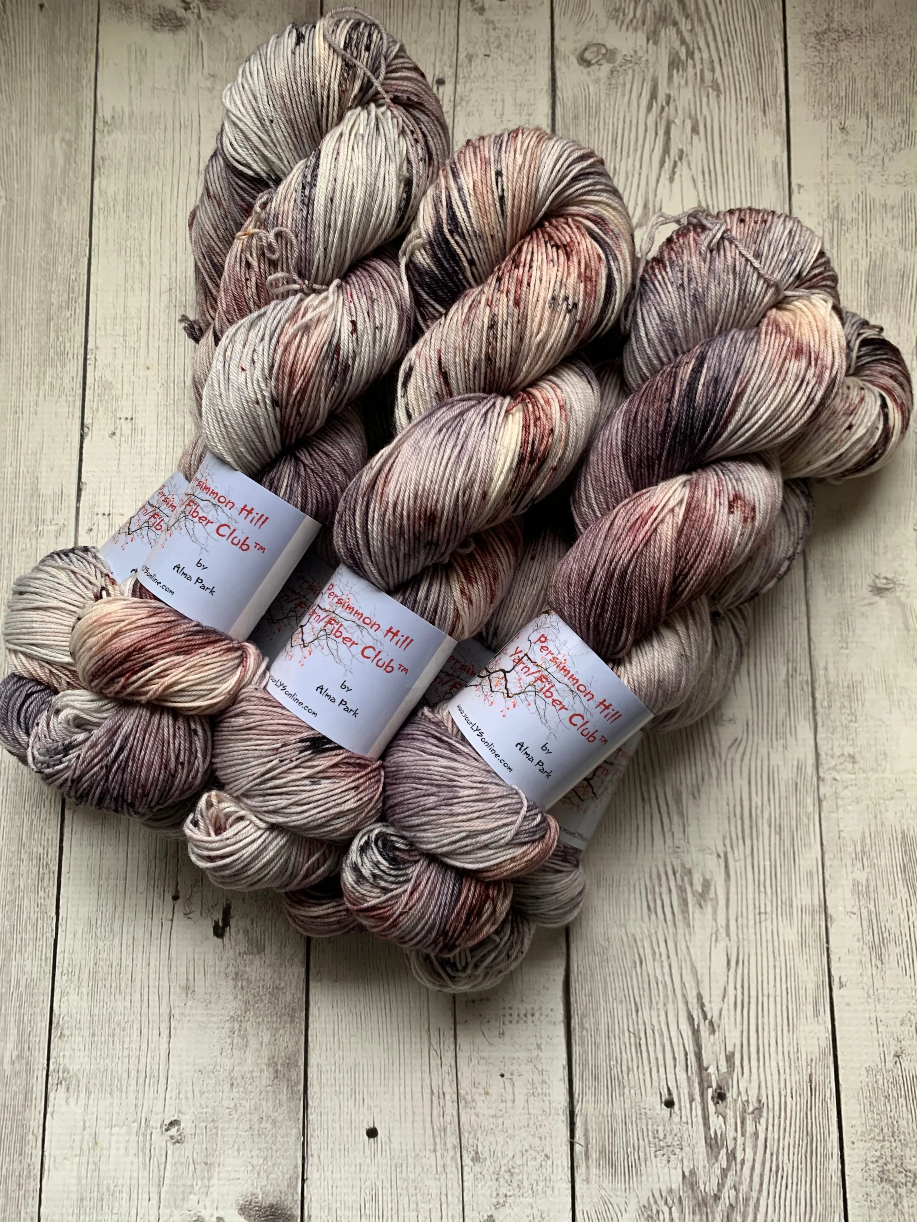 WILD HORSES ™ Persimmon Hill Yarn of the Month -  Hand Painted/ Speckled RTS