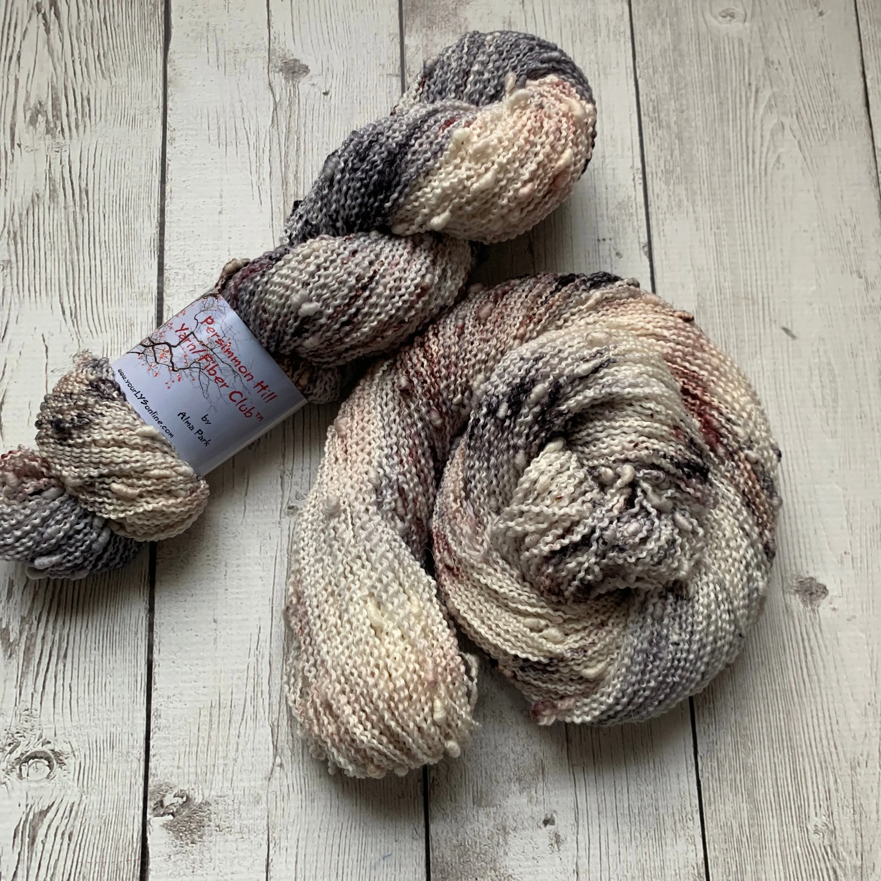 WILD HORSES ™ Persimmon Hill Yarn of the Month -  Hand Painted/ Speckled RTS