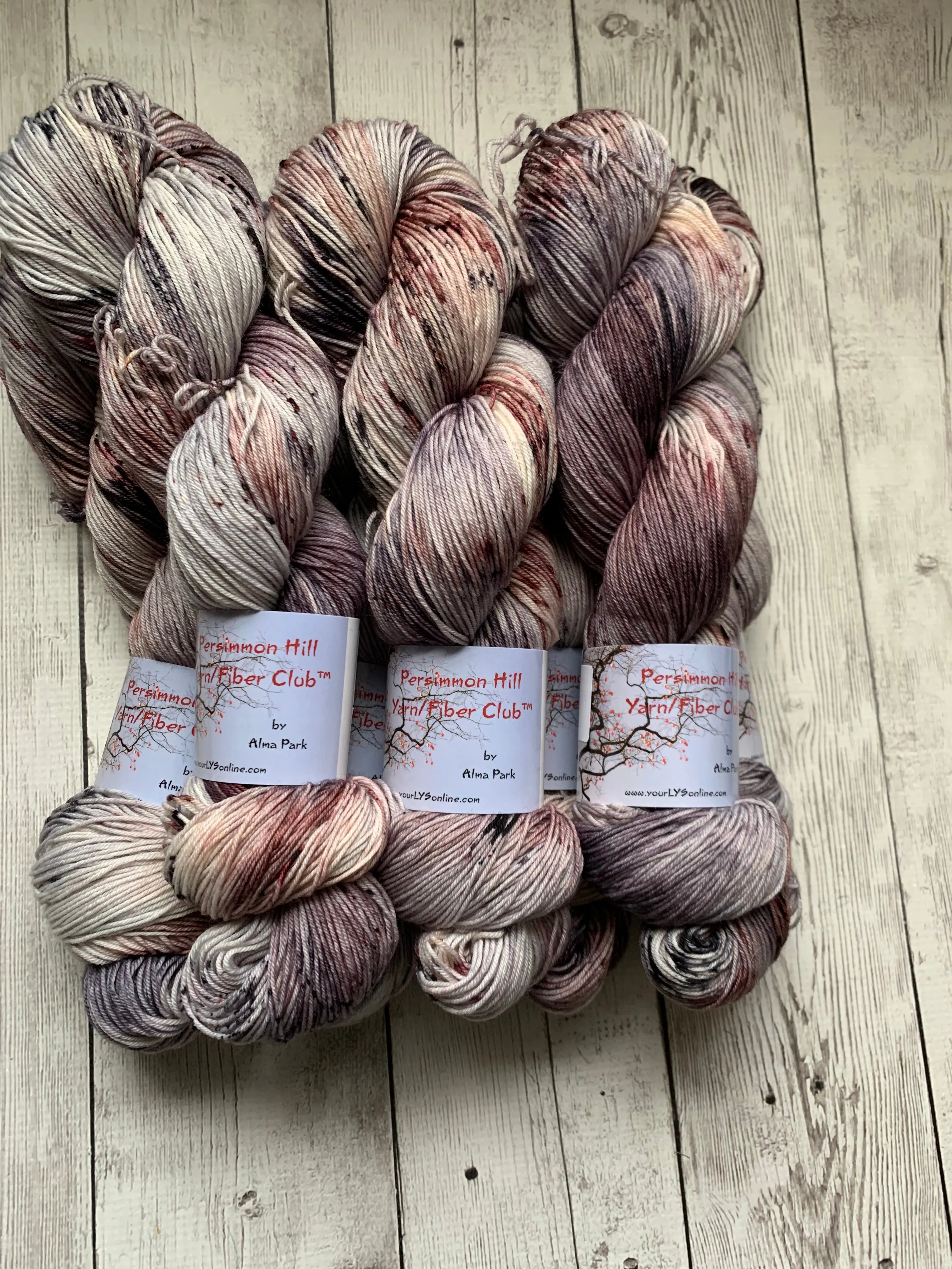 WILD HORSES ™ Persimmon Hill Yarn of the Month -  Hand Painted/ Speckled RTS