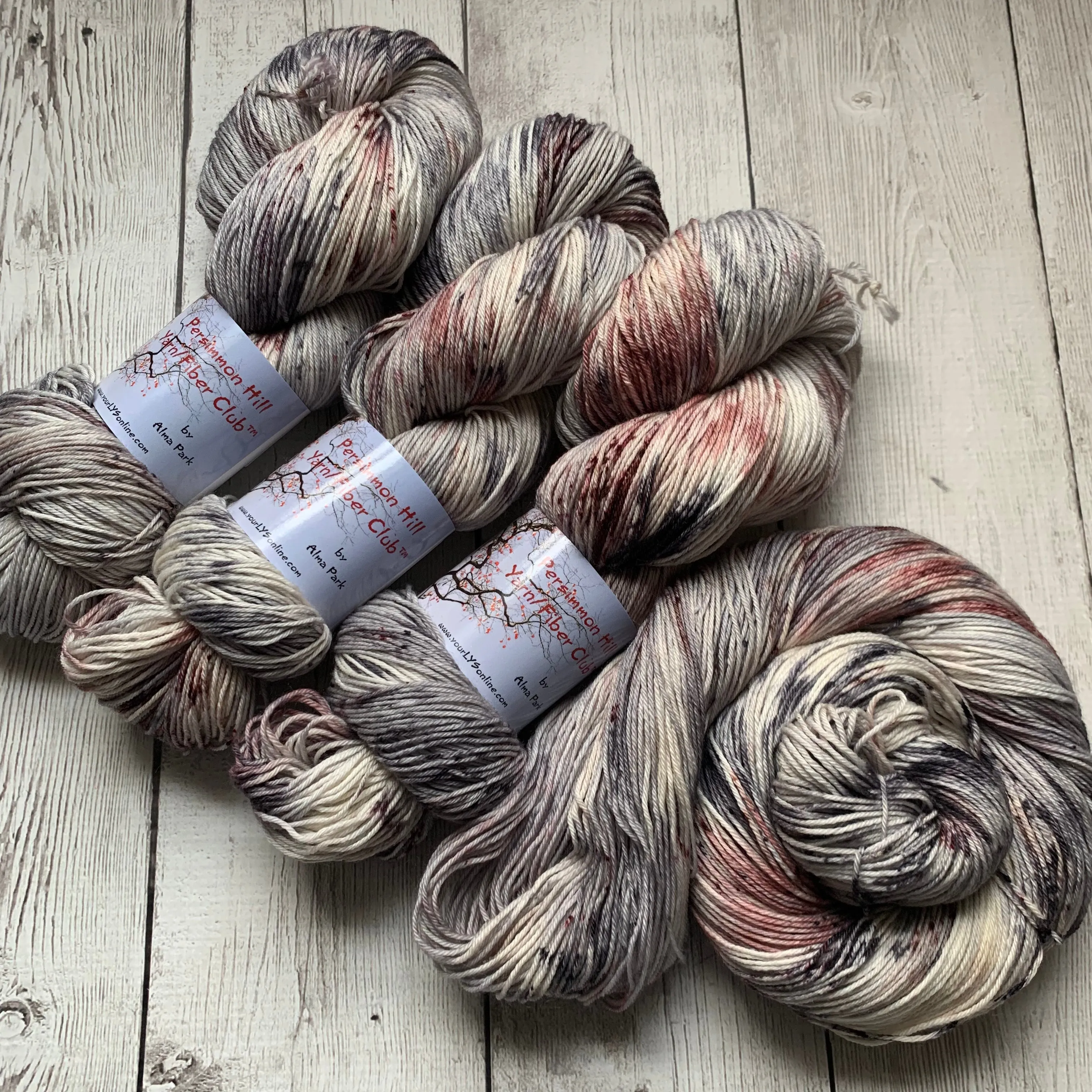 WILD HORSES ™ Persimmon Hill Yarn of the Month -  Hand Painted/ Speckled RTS