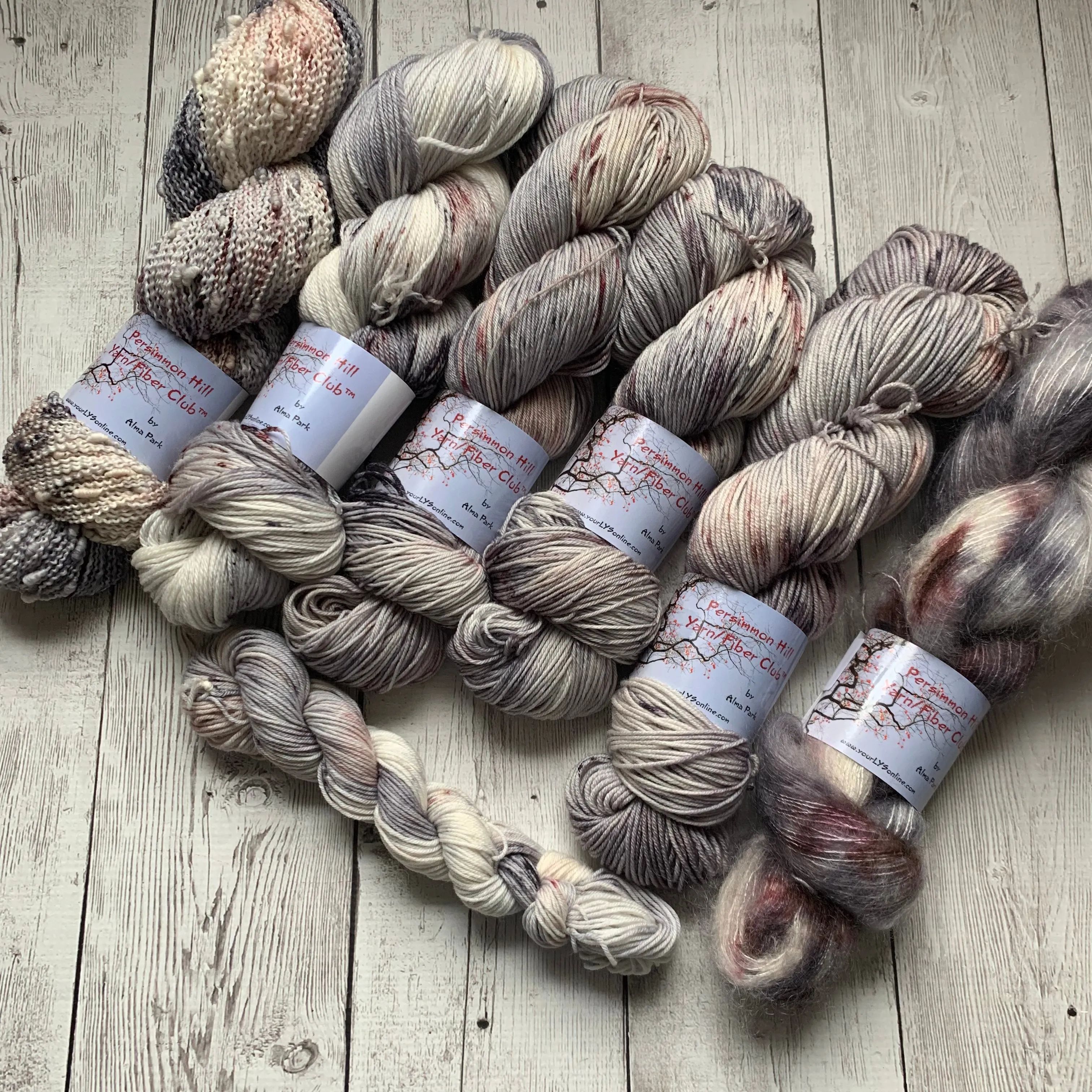 WILD HORSES ™ Persimmon Hill Yarn of the Month -  Hand Painted/ Speckled RTS