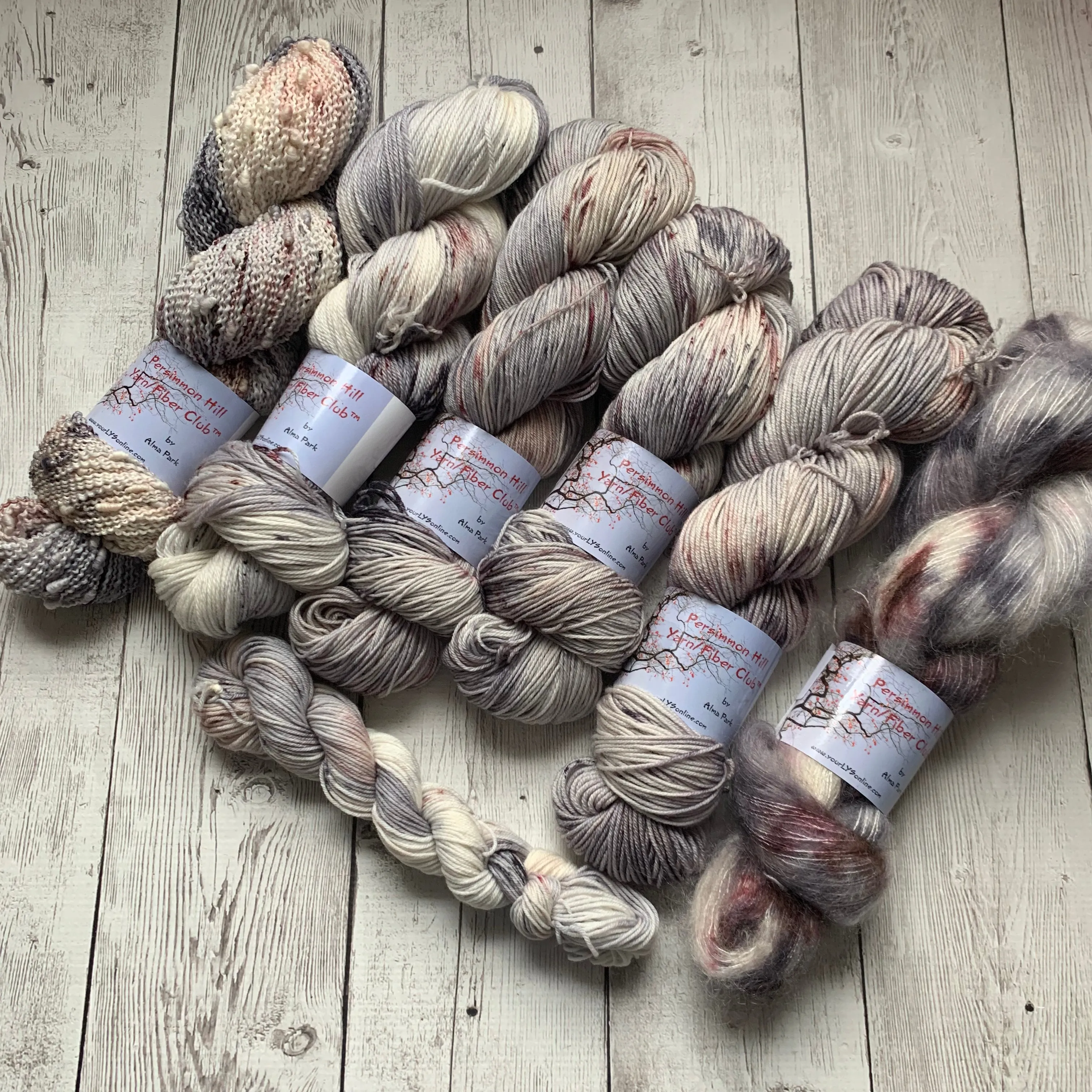 WILD HORSES ™ Persimmon Hill Yarn of the Month -  Hand Painted/ Speckled RTS