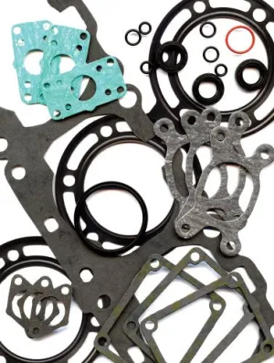 Winderosa Complete Gasket Set 711290